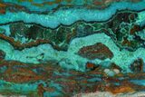 Polished Chrysocolla and Malachite - Bagdad Mine, Arizona #167425-1